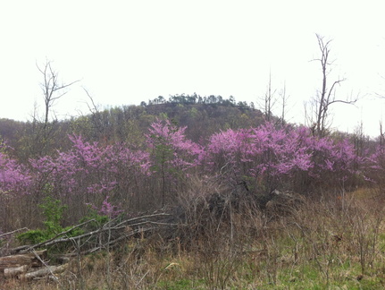 Lockegee Rock and Cave Run Lake